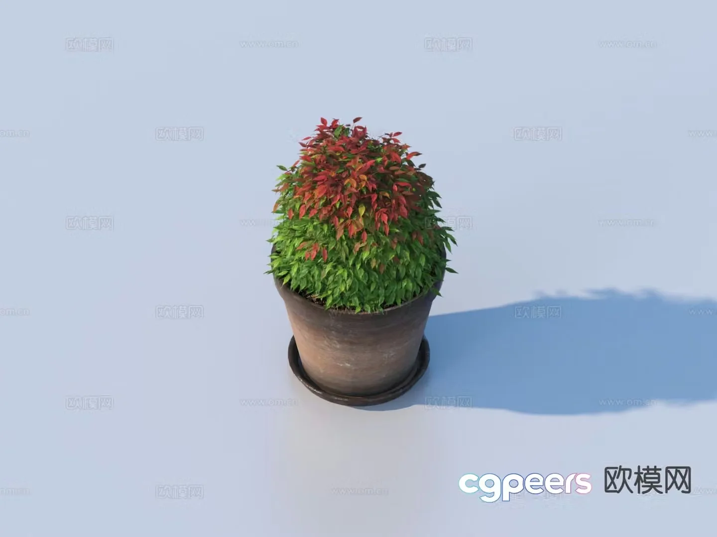 Flower pot pot green plants plant 3d model