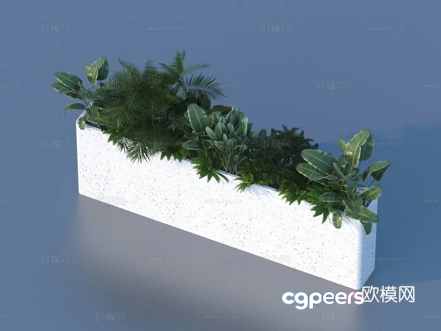 Flower box Fern plant plant heap 3d model