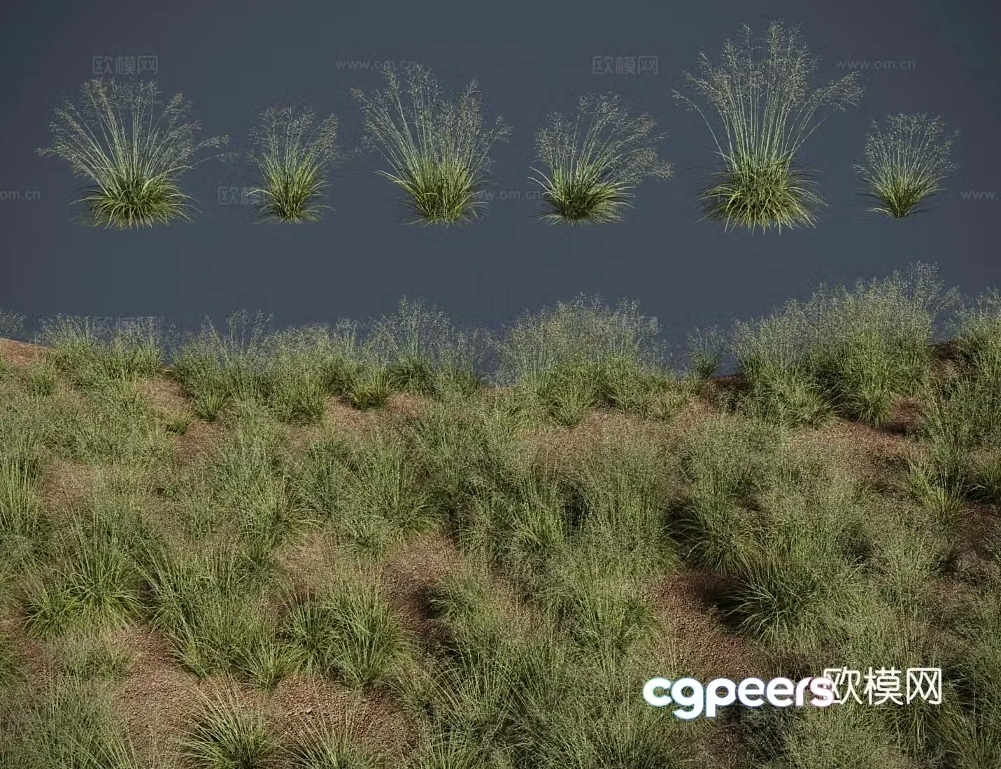 modern grass lawn splendens meadow shrub 3d model