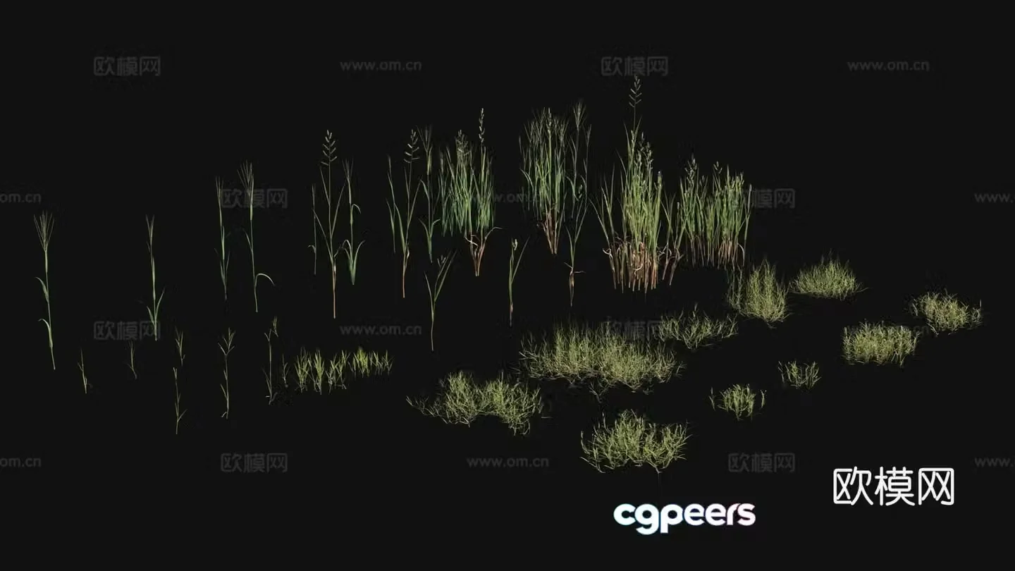 Outdoor flowers plants green plants 3d model