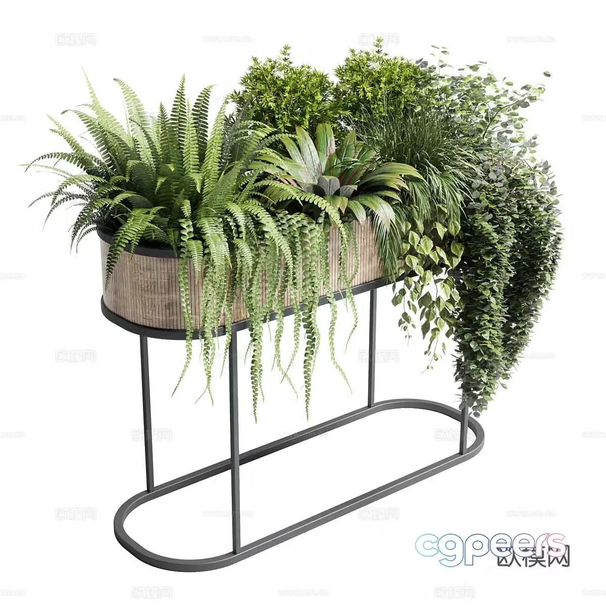 Bonsai rack 3d model