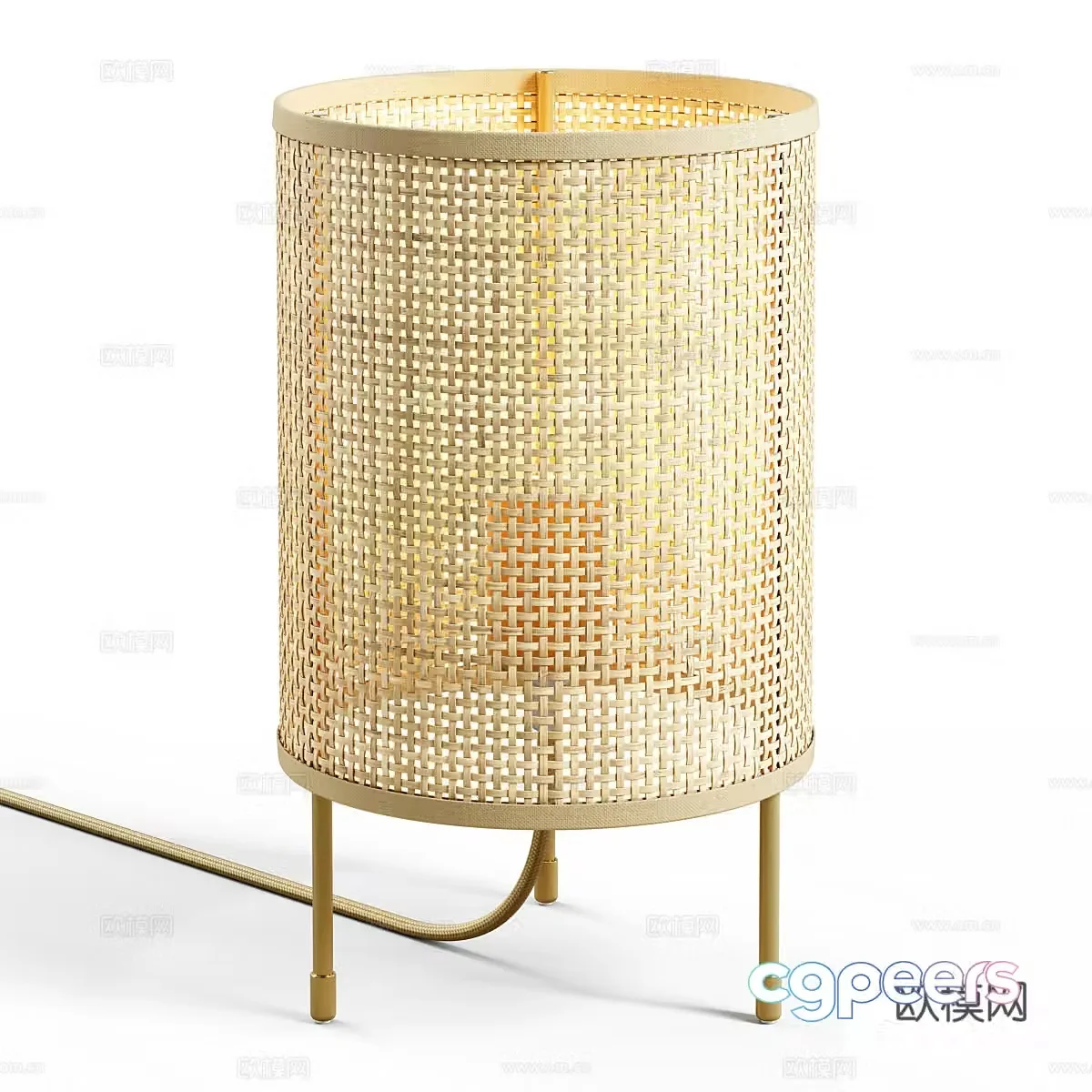 Zara Home Rattan Light 3D Model