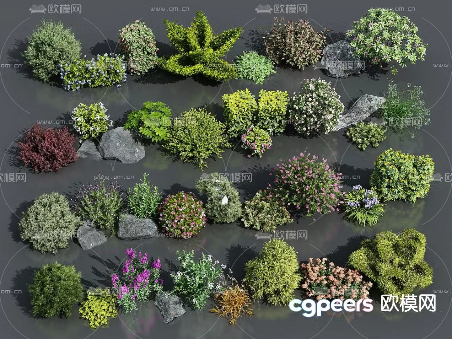 Flowers flowers shrubs plants 3d model