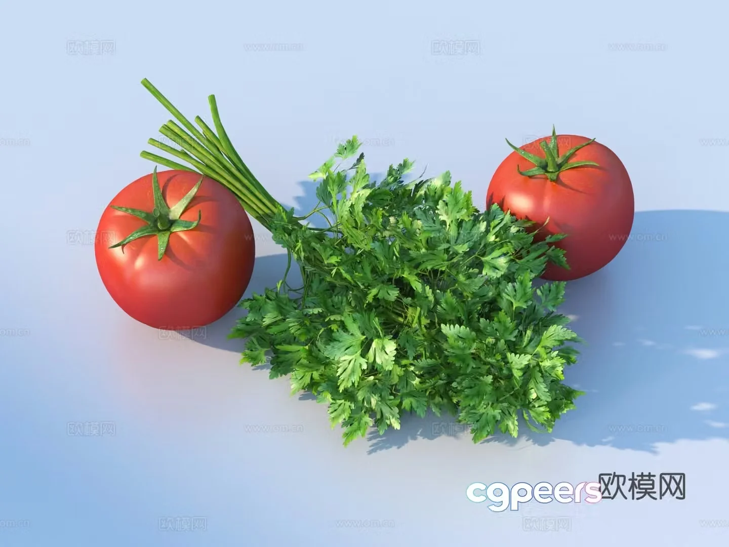 Tomato tomato vegetables coriander coriander side dishes 3D model