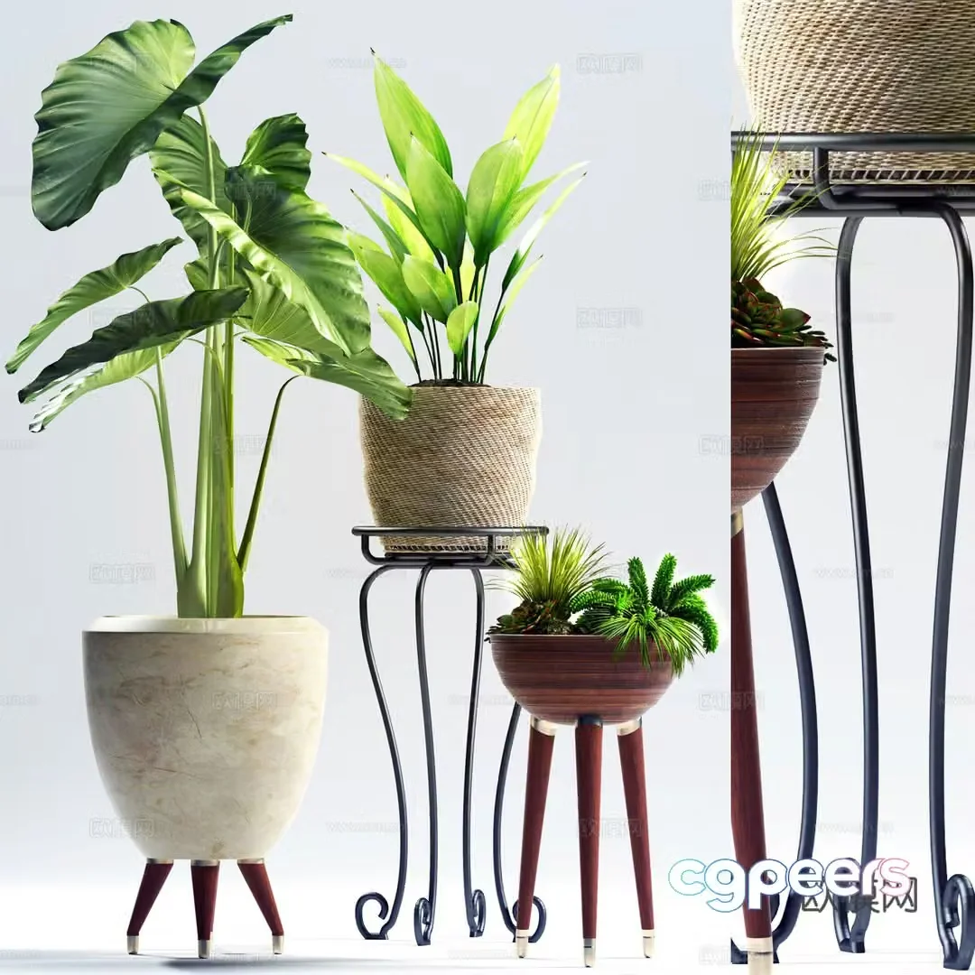 Green plant potted 3D model