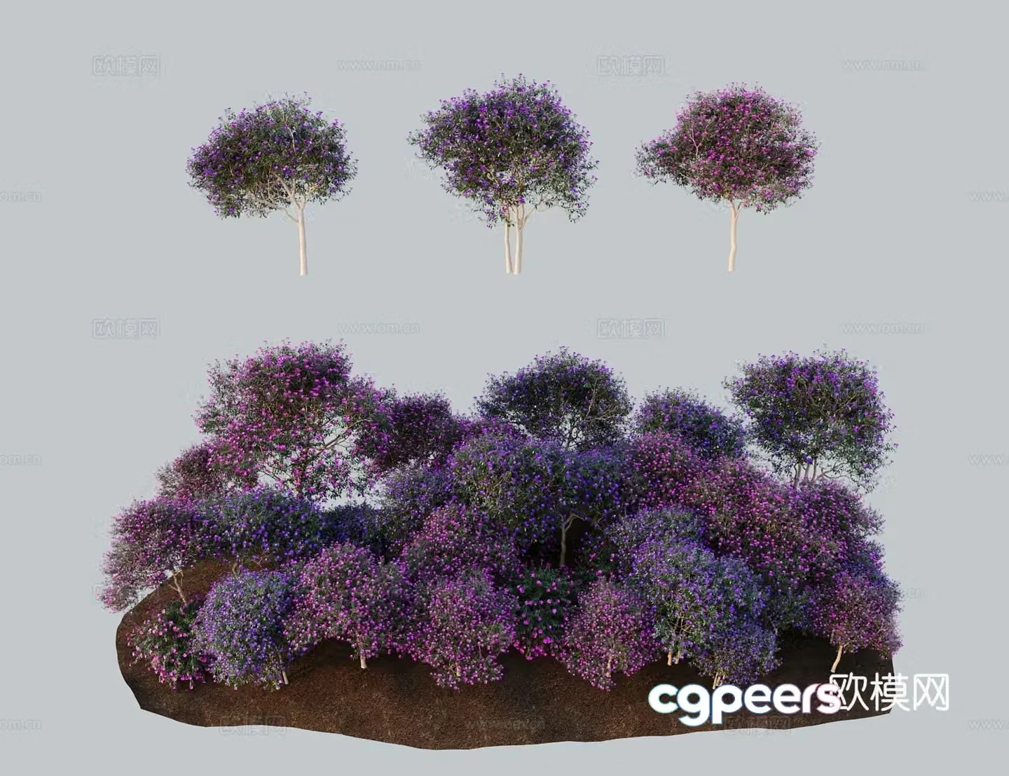Modern landscape tree Brazilian wild peony purple peony purple air coming from the east Princess flowers and purple wild peony 3D model
