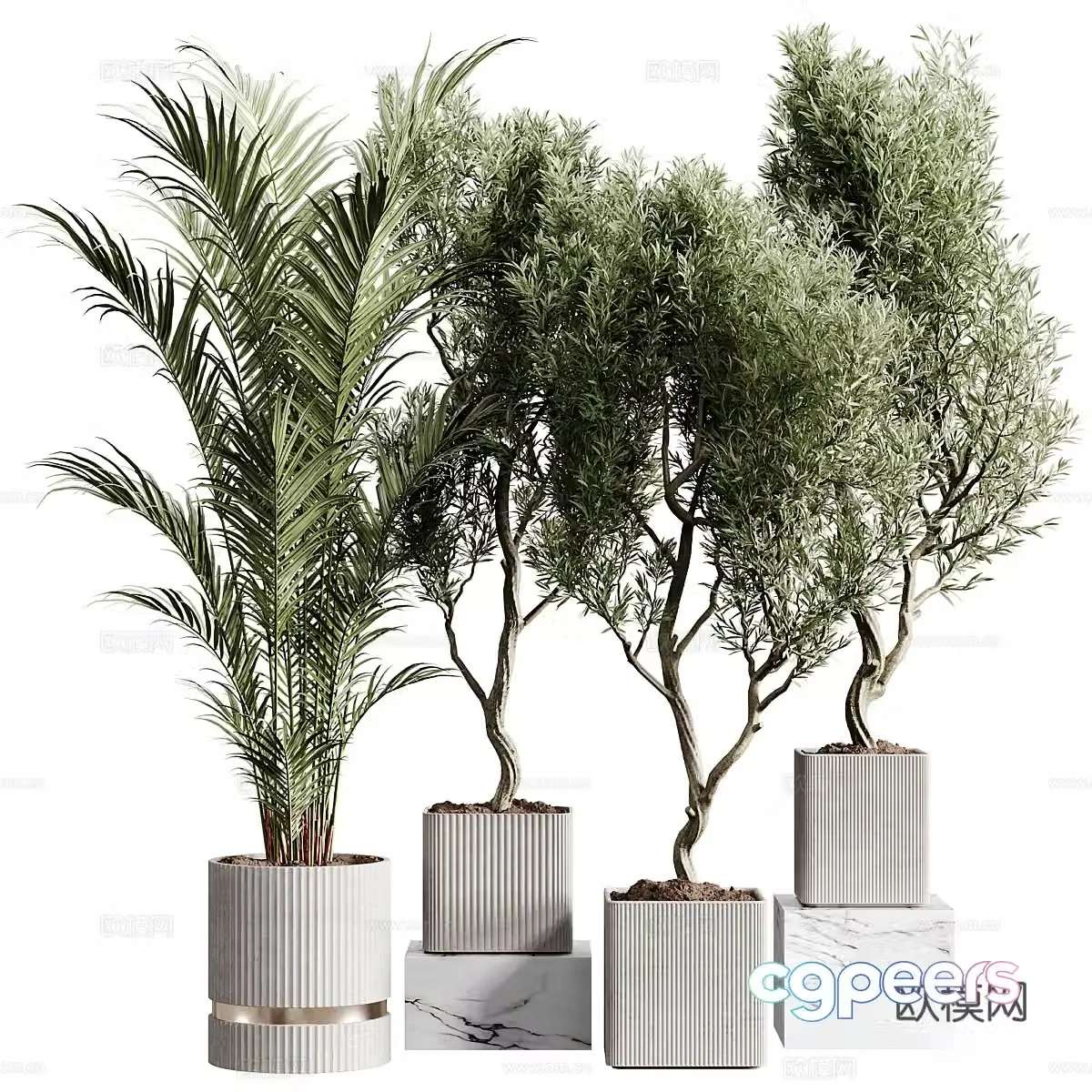 Modern bonsai bonsai 3d model
