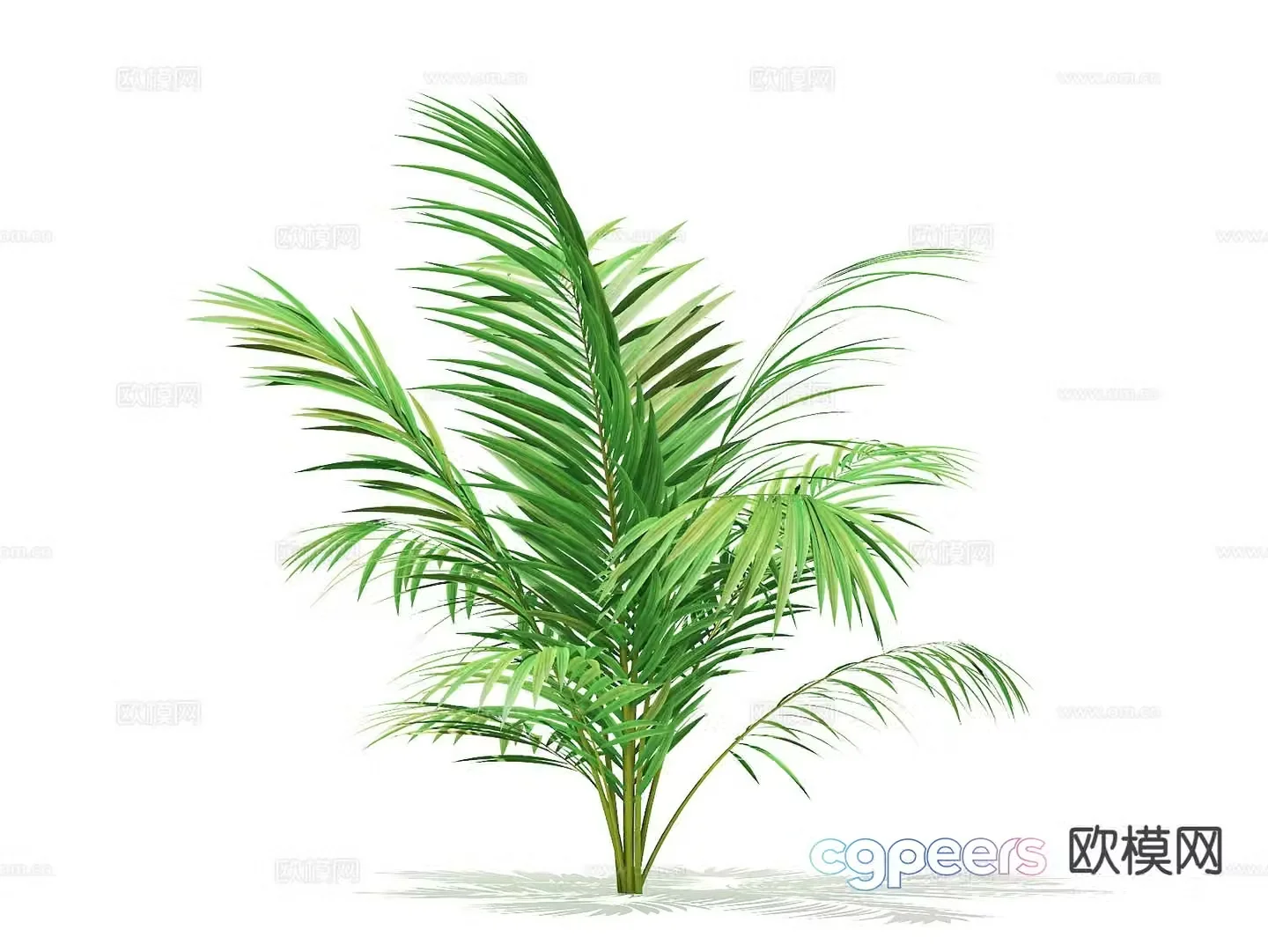 Flowers and plants green plants shrubs 3D model