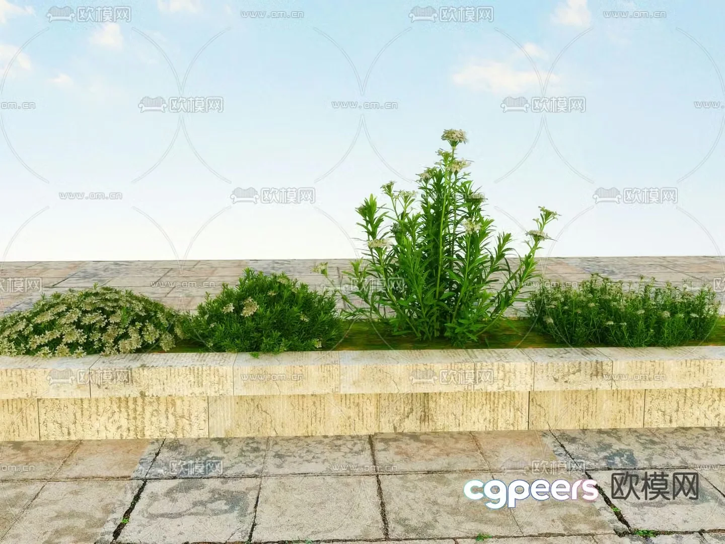Flowers and plants Landscape plants 3d model