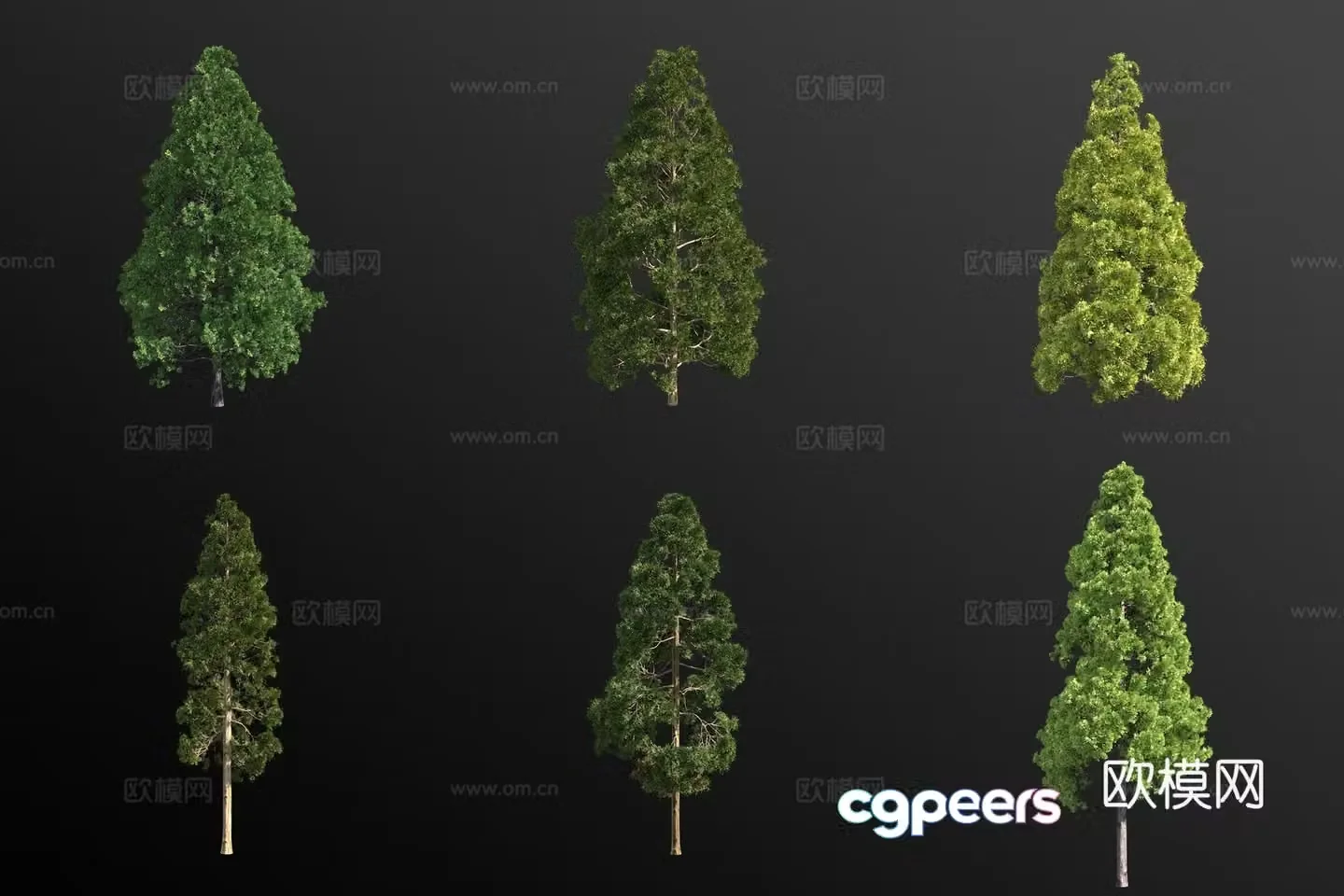 Ball Cryptomeria Landscape Tree 3D Model