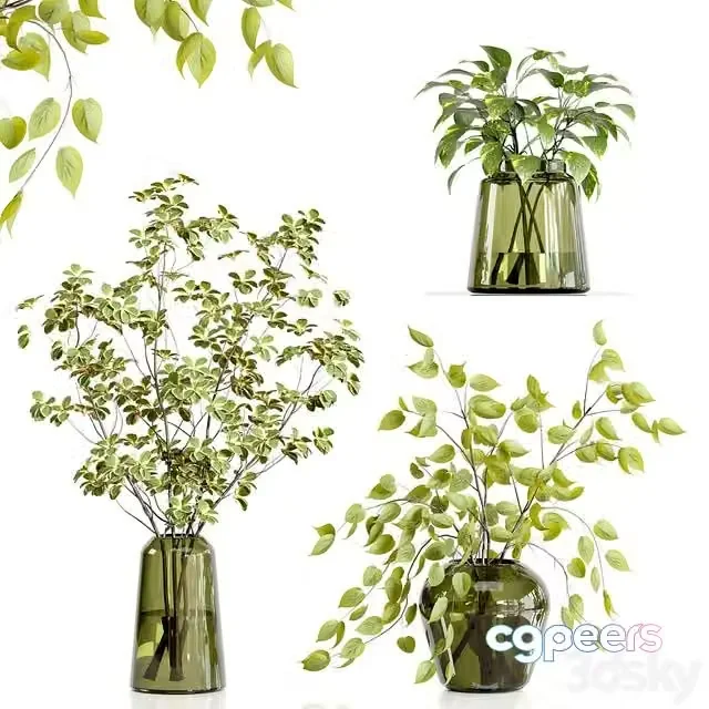 3ds Max Free – Decorative Plants 18