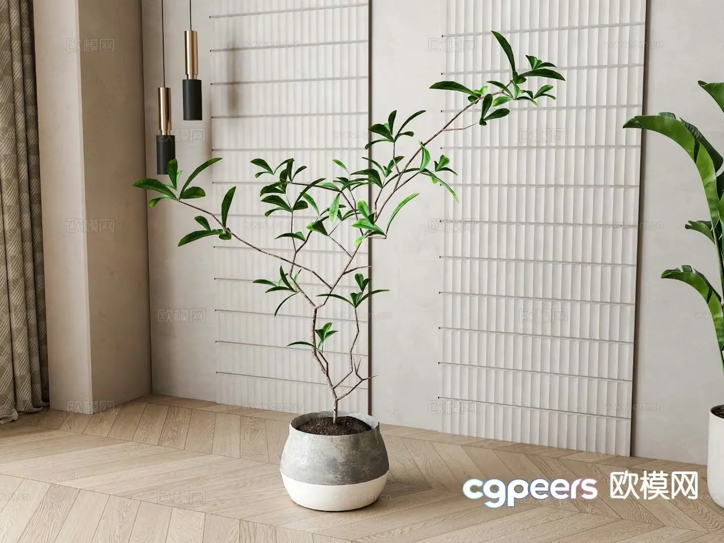 A Plant In A Pot 3D Model – 18815 – VRAY Render