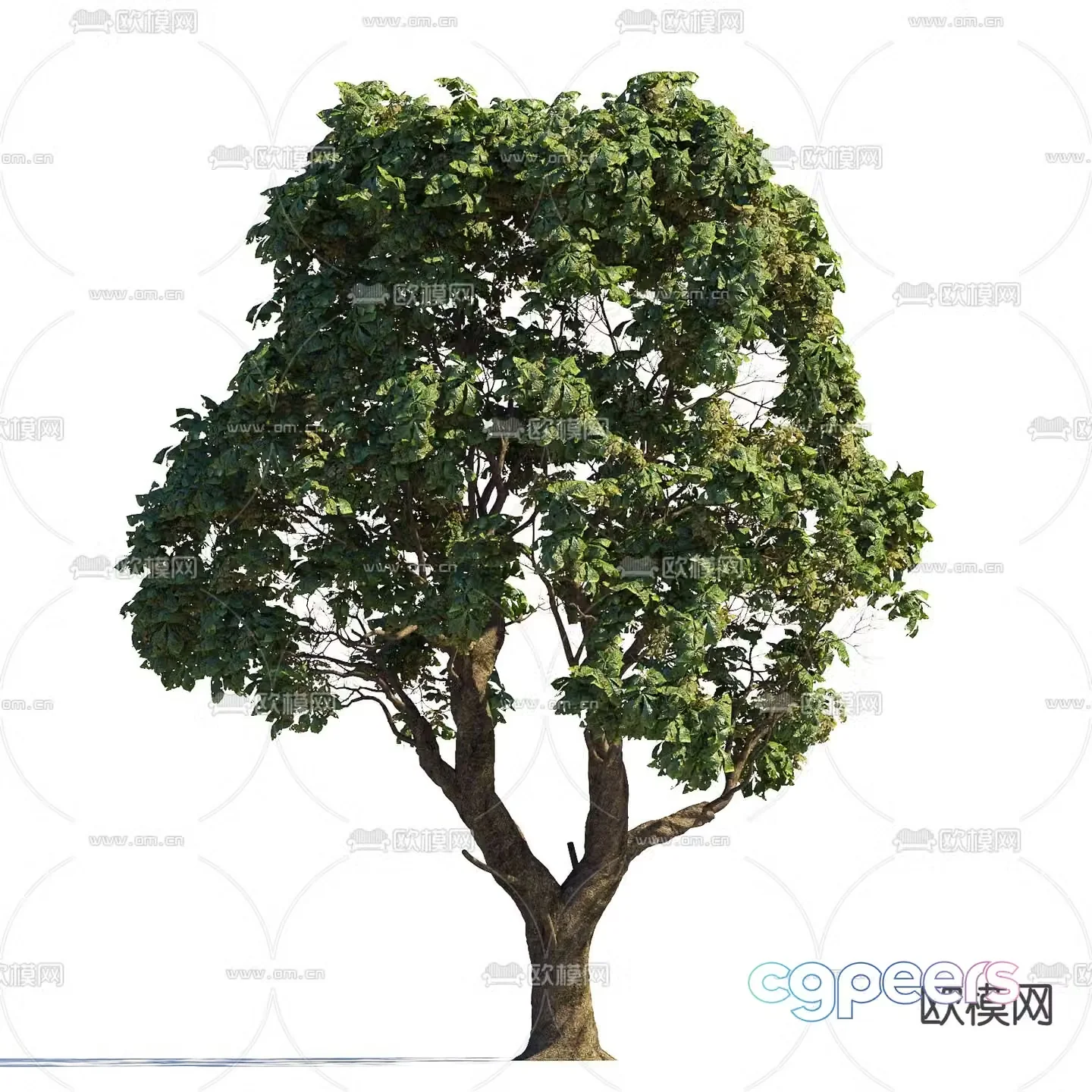 Big tree Garden tree Landscape tree Street tree 3d model