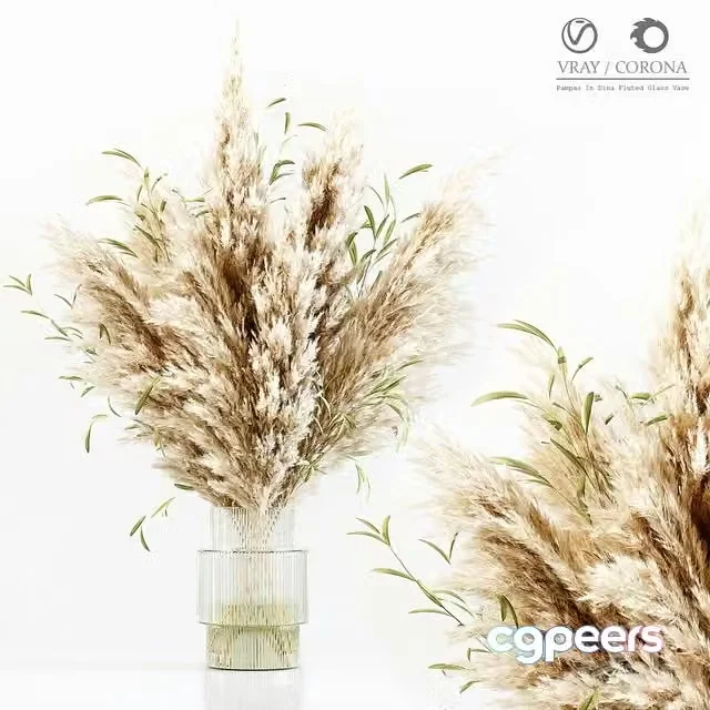 3ds Max Free – Pampas In Dina Fluted Glass Vase