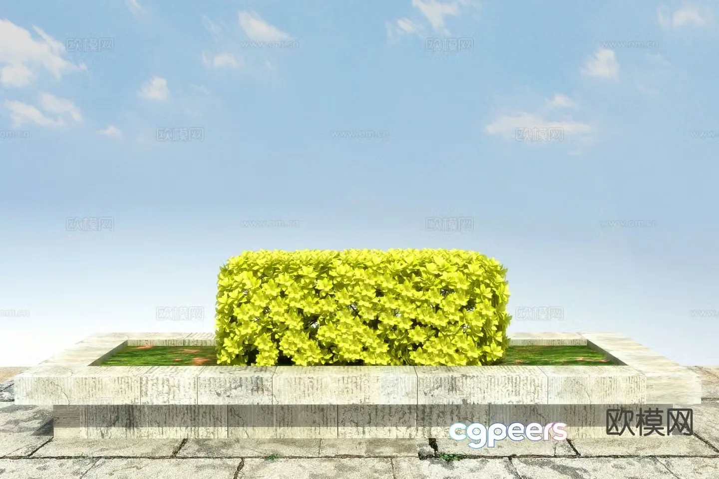 Modeling shrub Golden Banyan 3d model