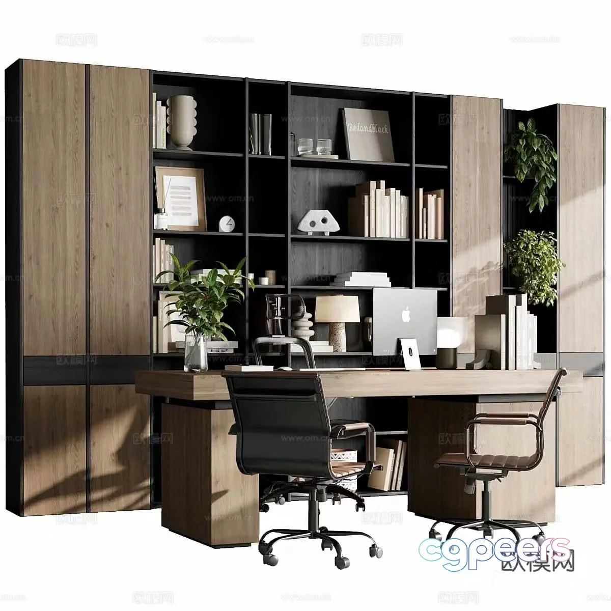 Bookcase 3d model
