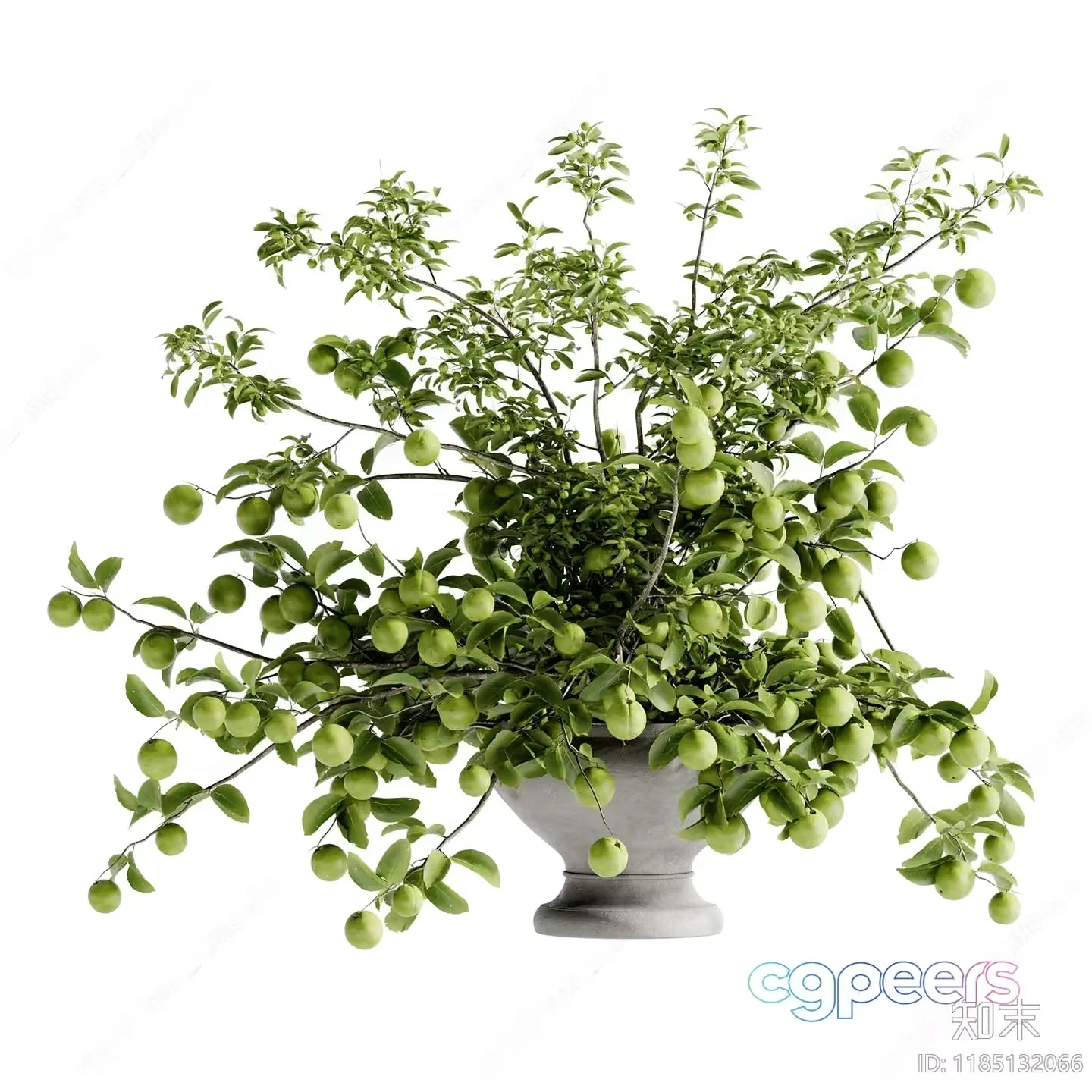 A Green Plant In A Pot 3D Model – 14093 – VRAY Render