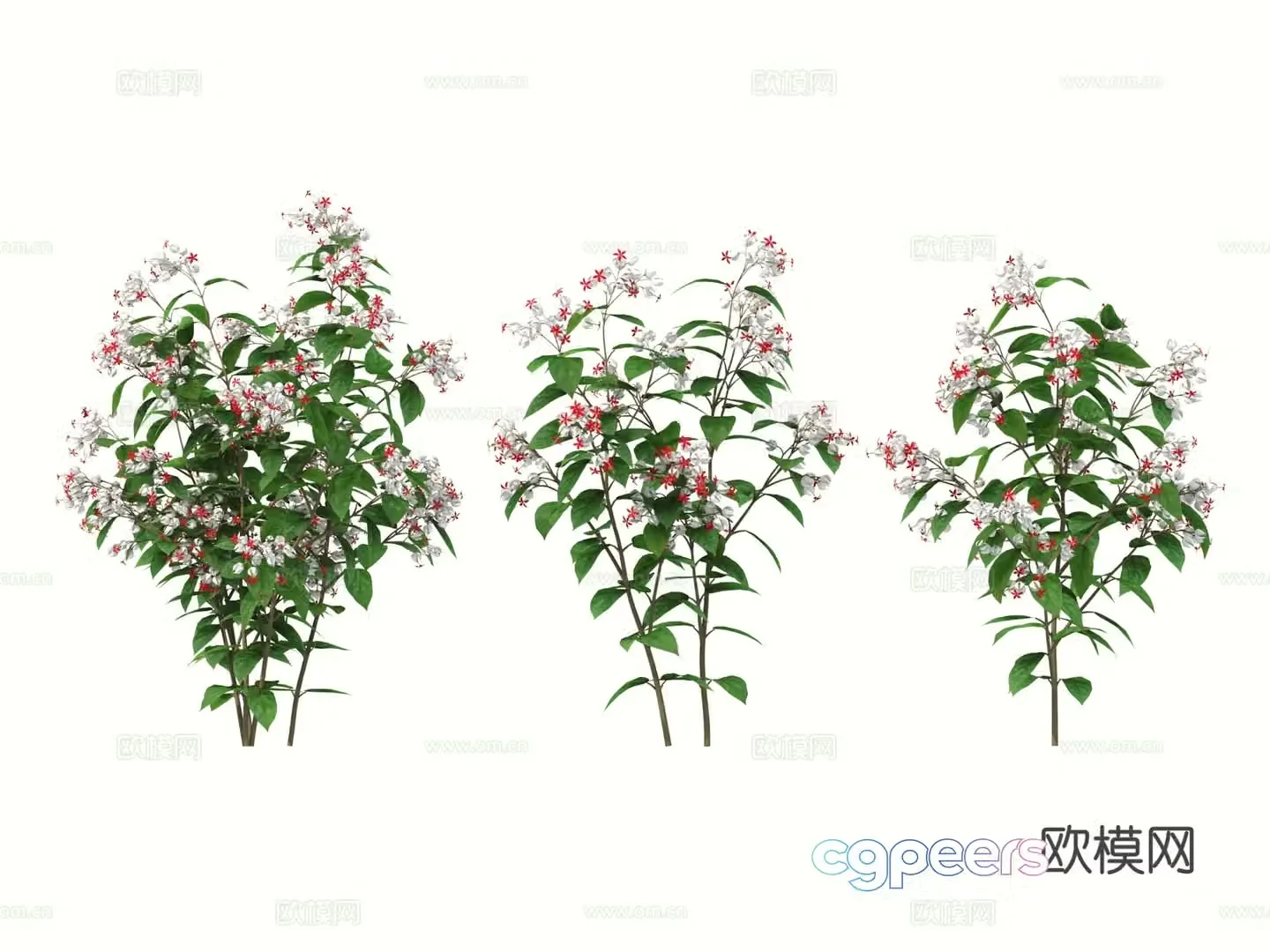 Flowers shrub flowers 3d model