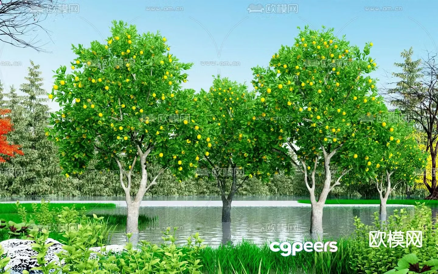 Modern orange tree 3d model