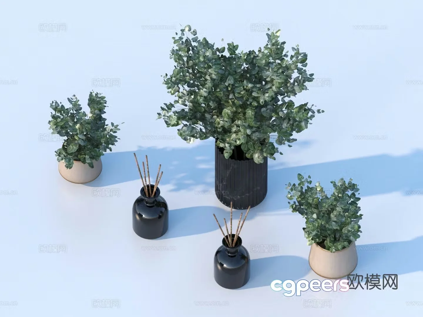 Flower pot pot green plants plant 3d model