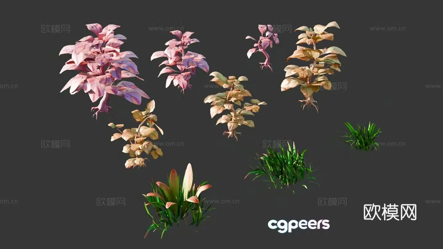 Animation plants cartoon plants 3d model