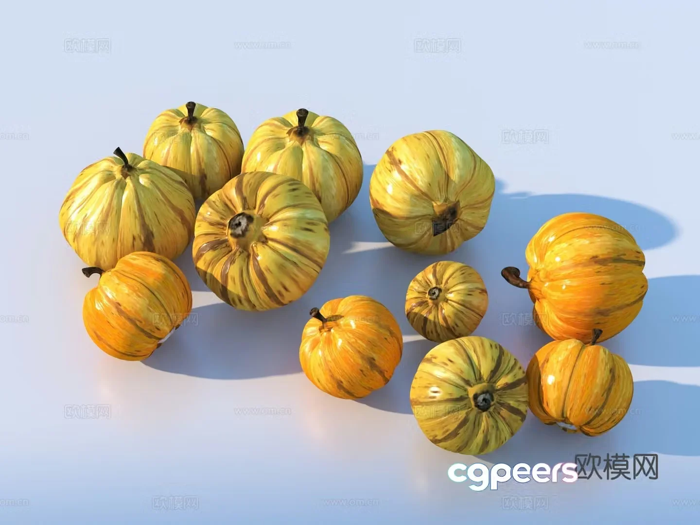 pumpkin vegetable butternut squash 3d model