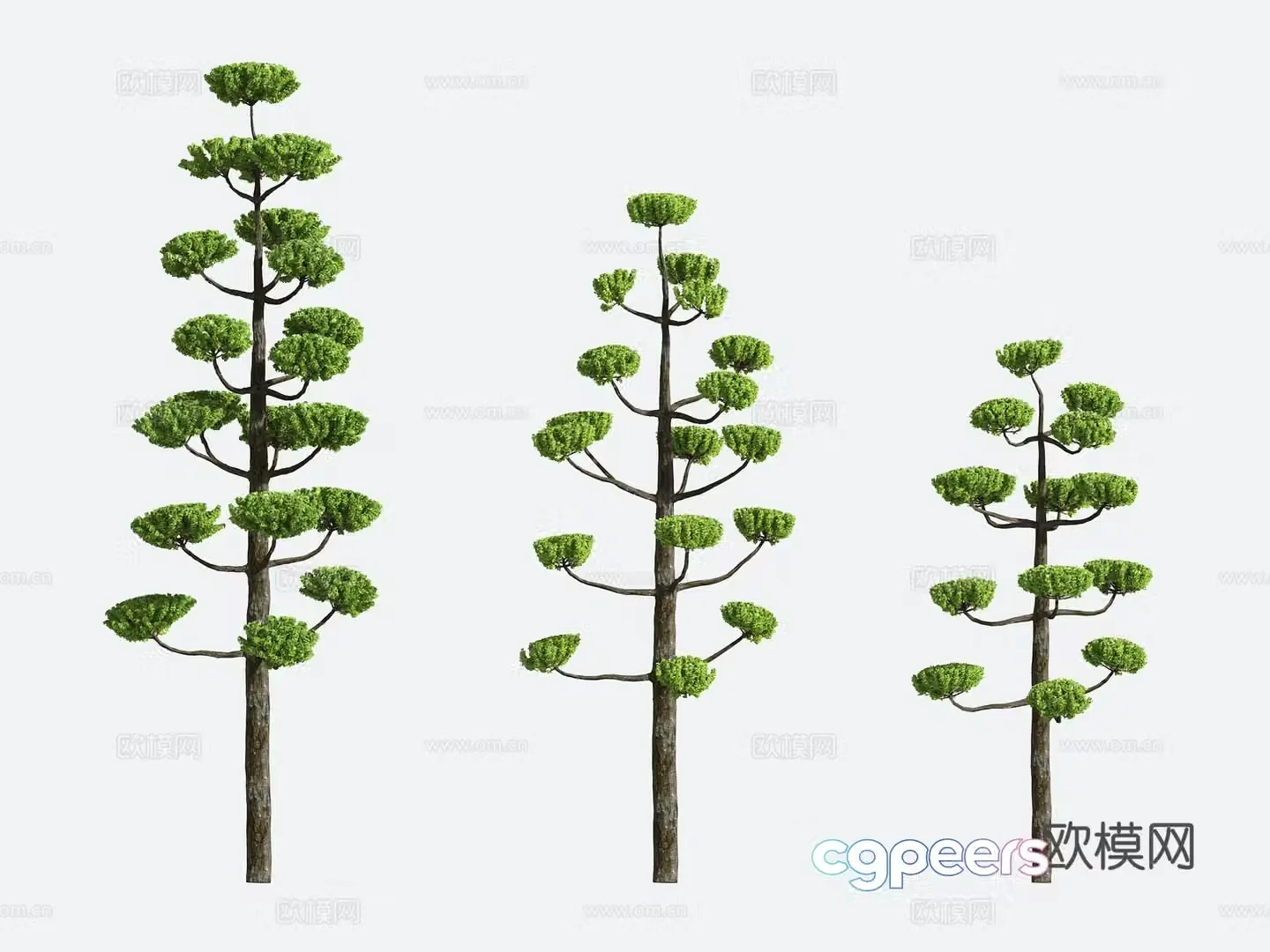 Shrub Modeling Tree Gardening 3d Model