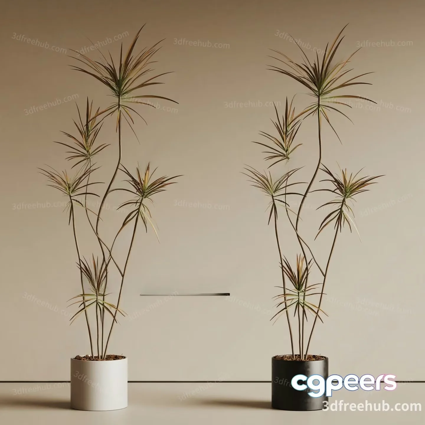 Two Potted Plants 3D Model – 20855 – VRAY Render