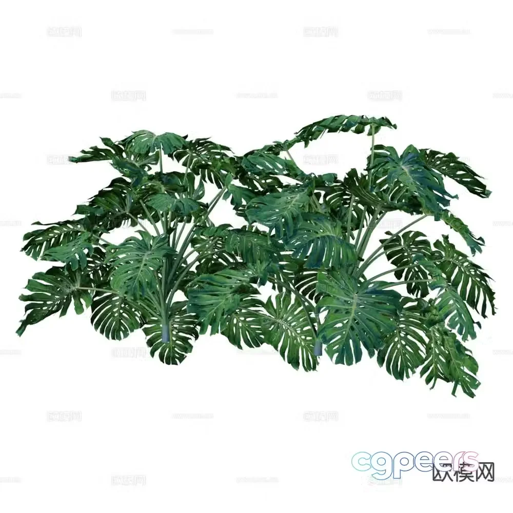 Landscape shrubs shrub plants hedge 3d model