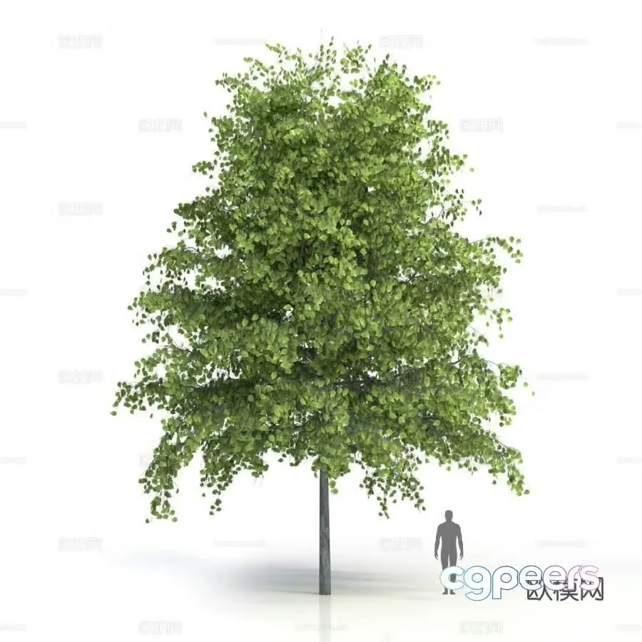 plants trees arbor tree 3d model