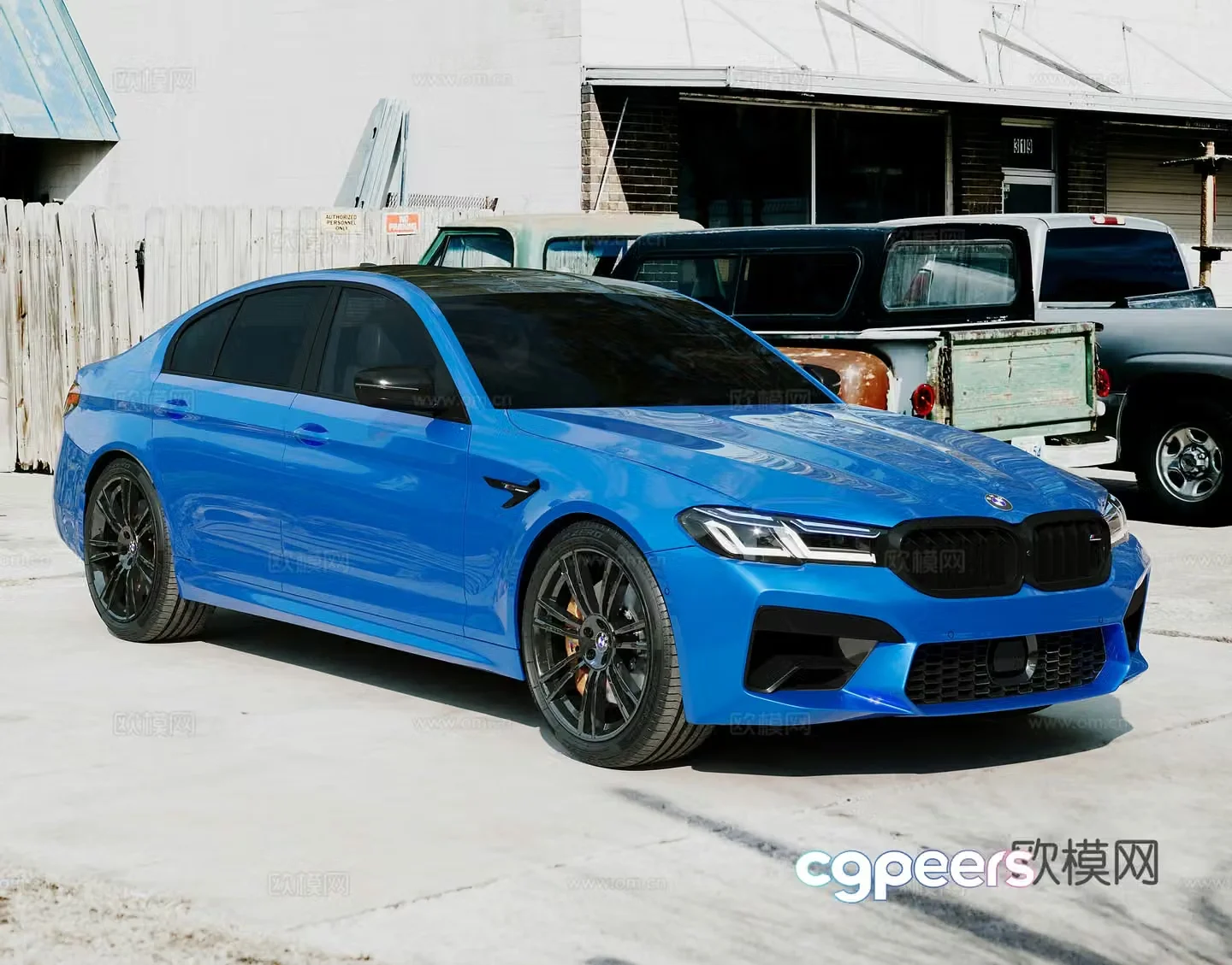BMW M53d model