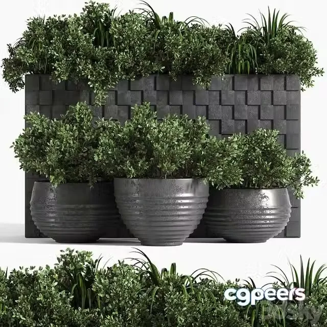 3ds Max Free – outdoor plant collection_Box