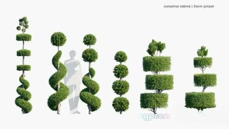 A Set Of Topiary Trees 3D Model – 9059 – VRAY Render