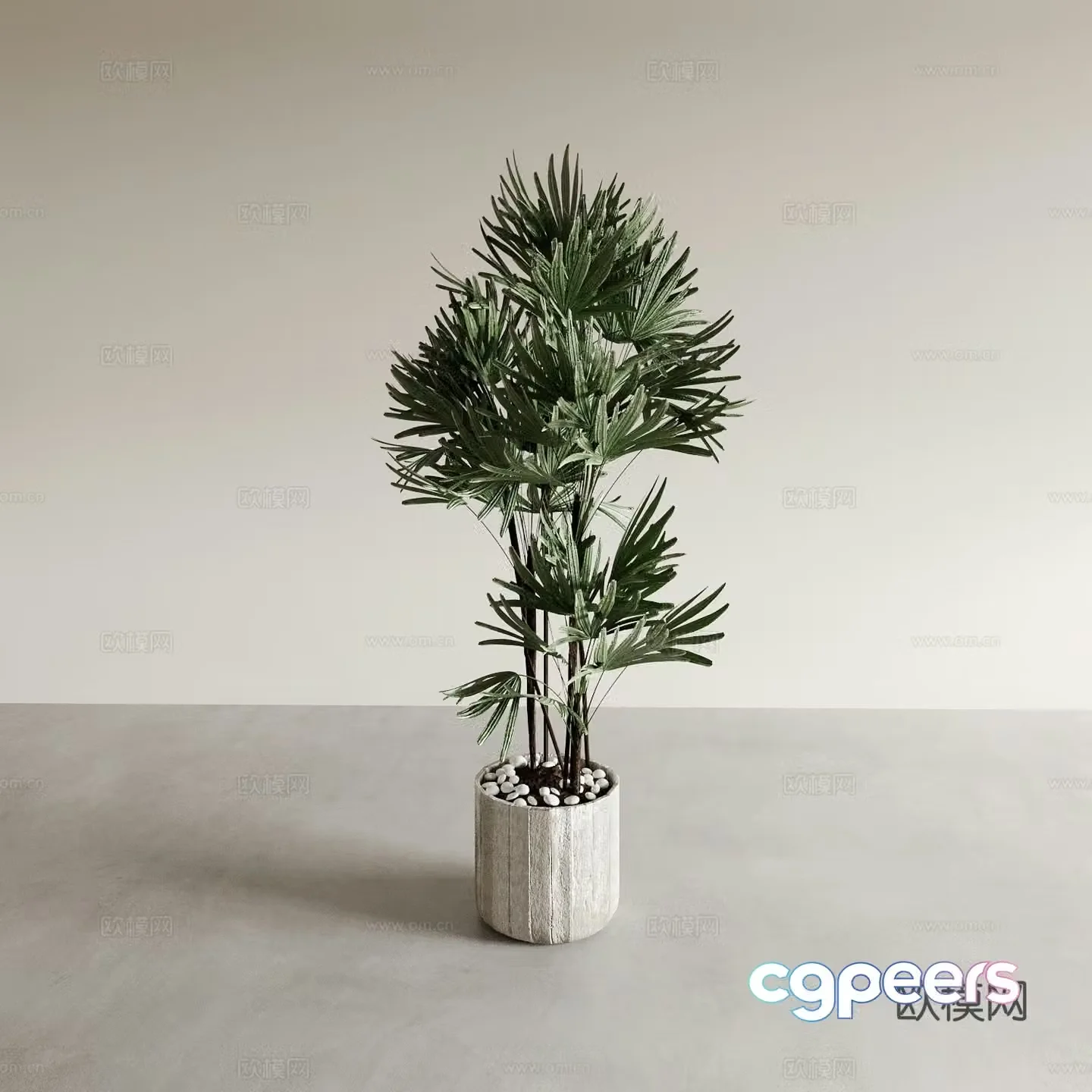 plant green plant potted 3d model