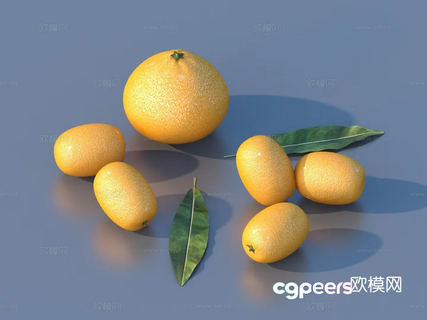 Orange Citrus Fruit Food 3D Model