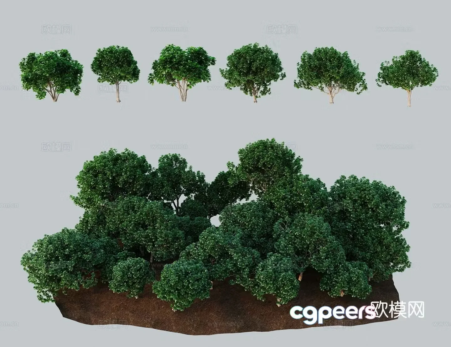 Modern tree shrub big fig leaf banyan violin leaf rubber tree cow root 3D model