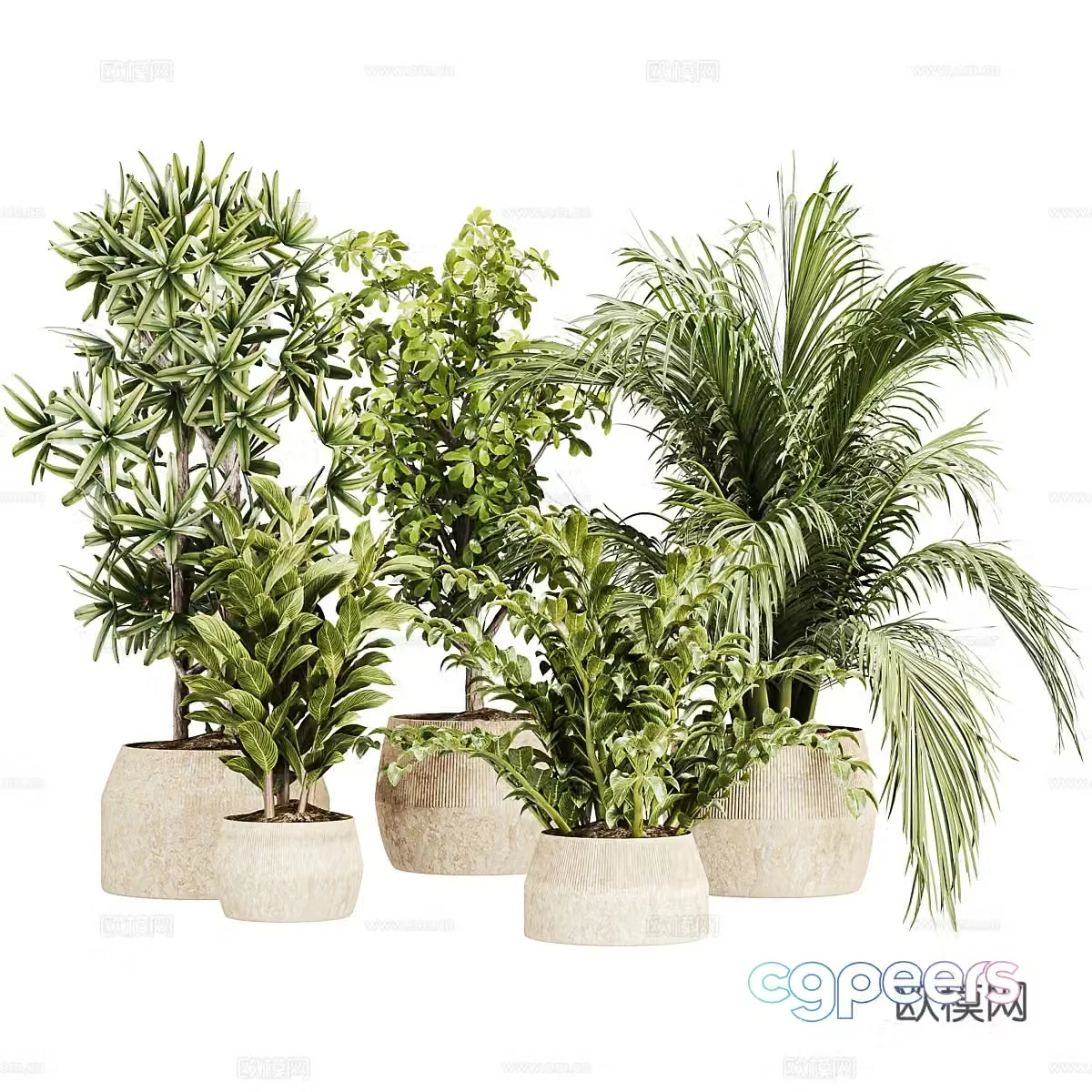 New Chinese style wasabi green plant potted 3D model