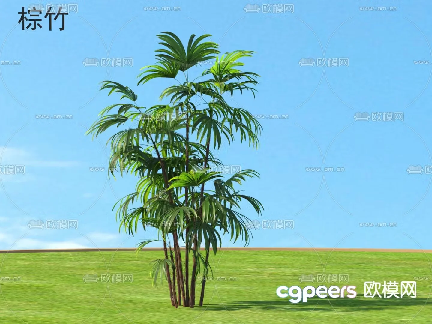bamboo brown bamboo 3d model