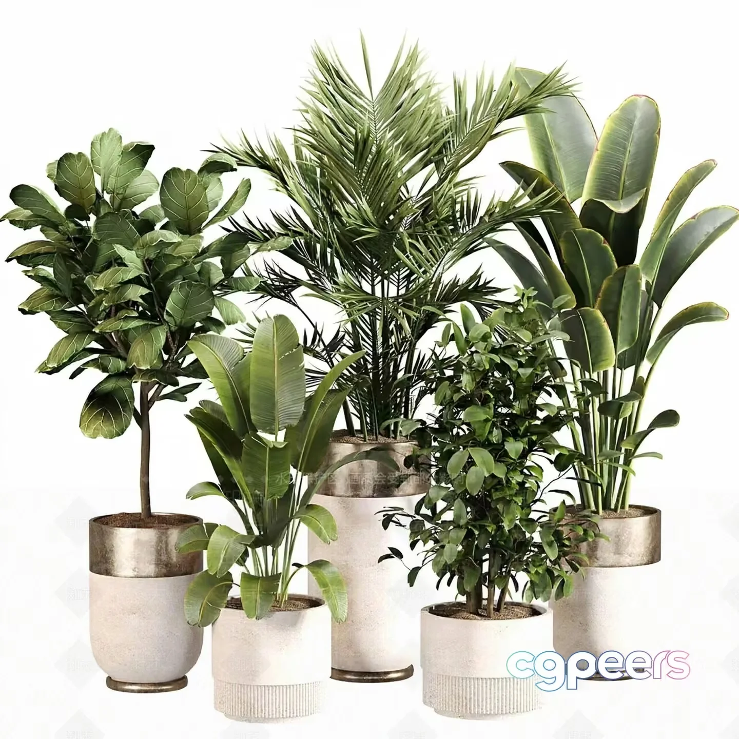 Tropical Houseplants 3D Model – 2284 – VRAY Render