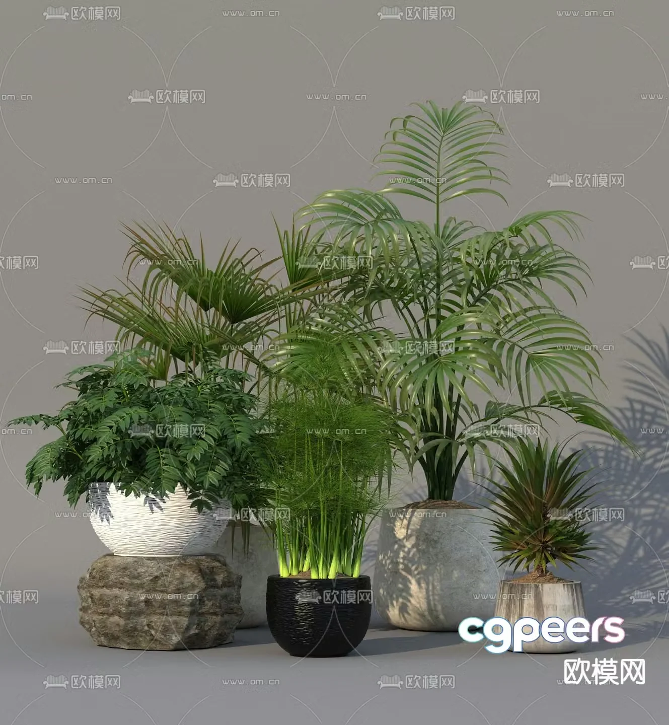 Potted green plants 3d model