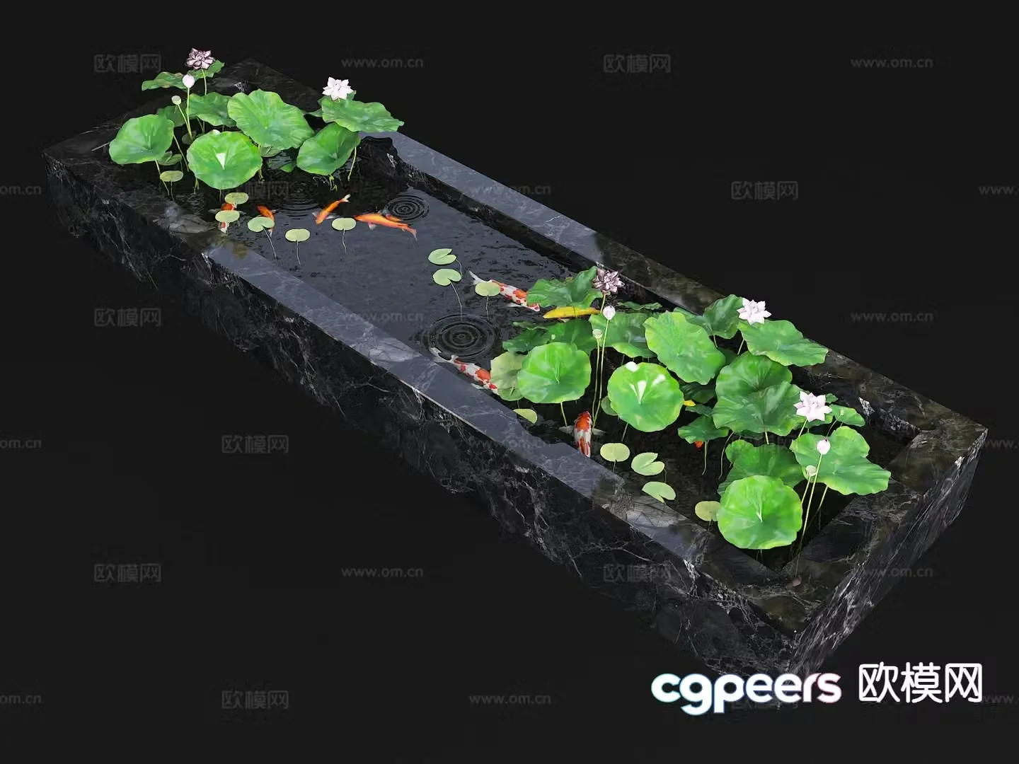 Modern koi pond goldfish pond 3d model
