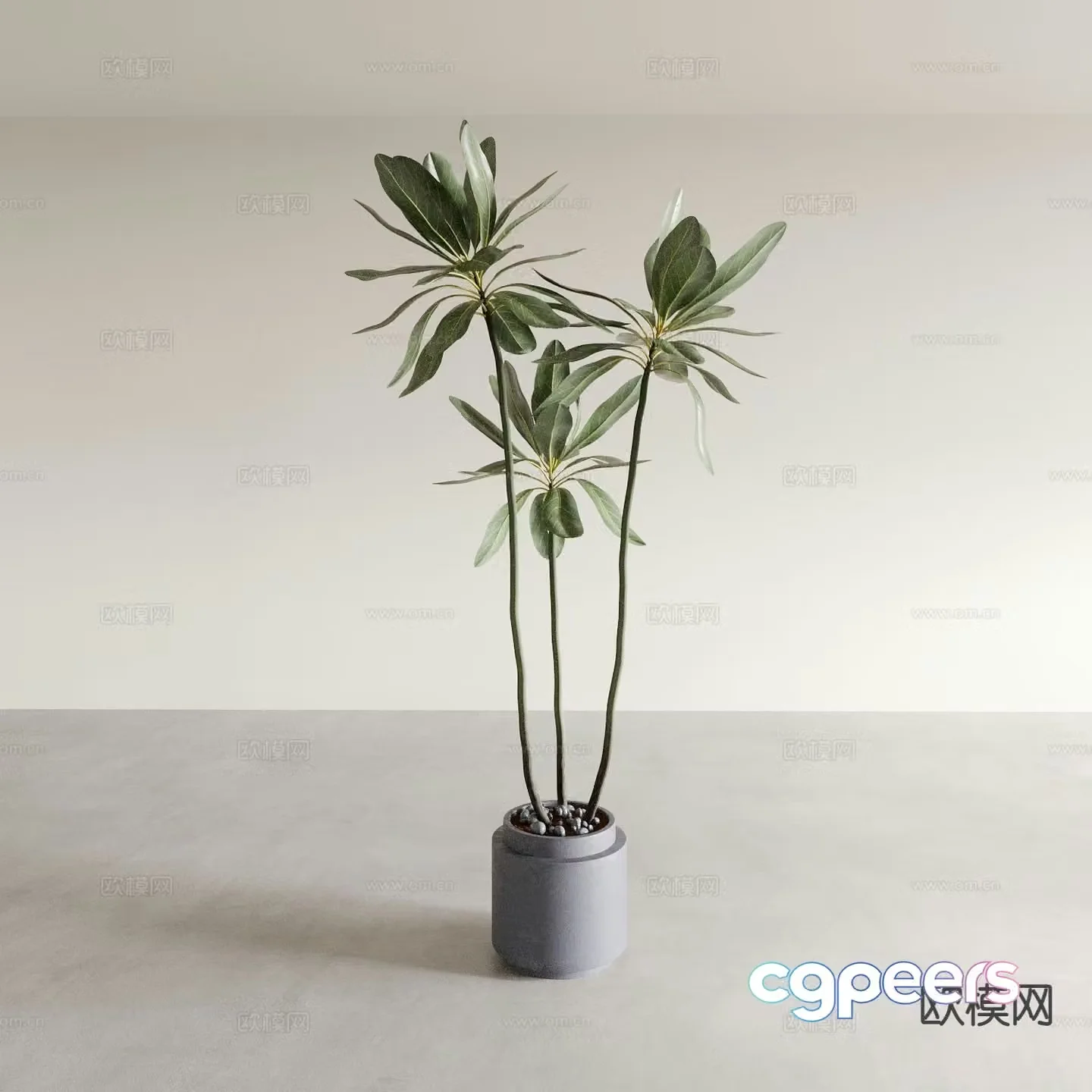 Plant potted green plant 3d model