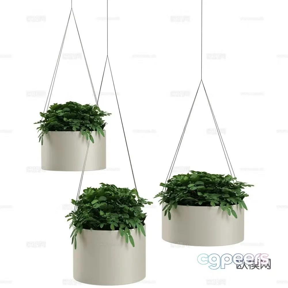 Modern hanging basket plants green plants plant pots 3d model