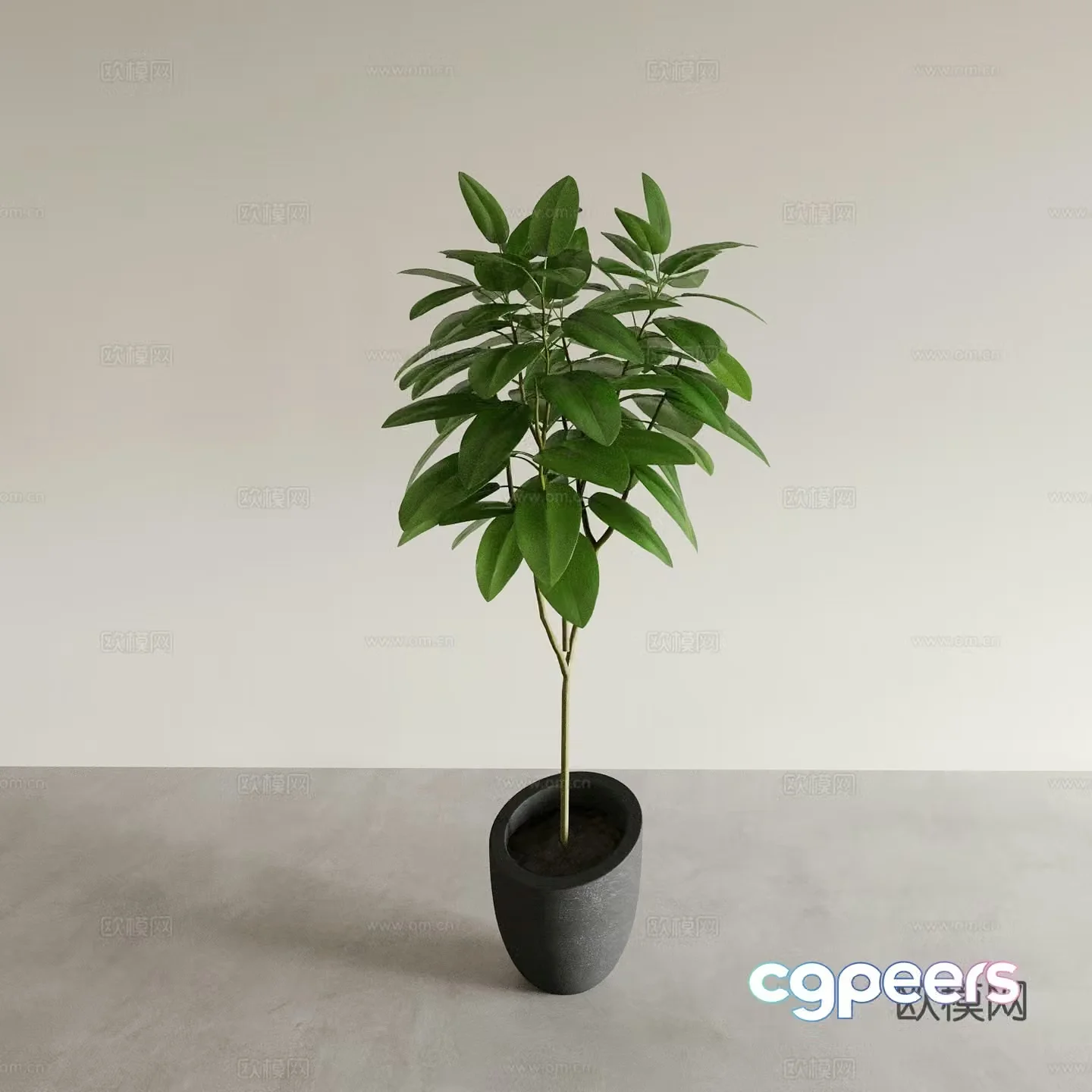 Bonsai pots indoor green plants plant ornaments plant flower pots vase flower pots 3D model
