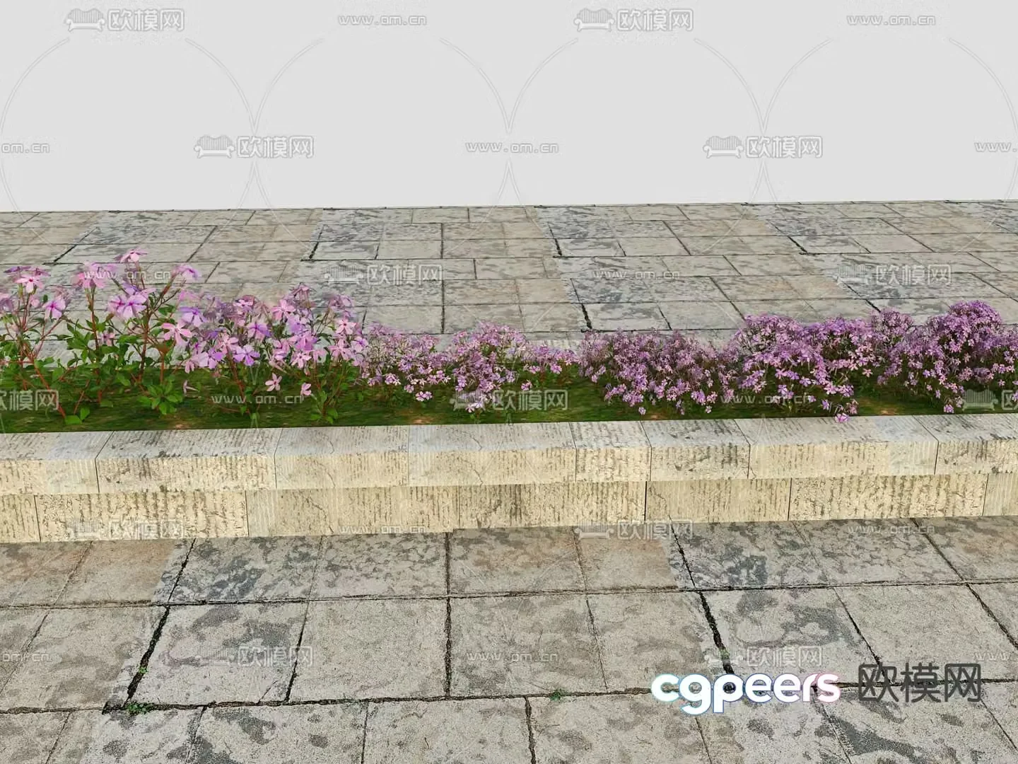 Flowers and plants 3d model