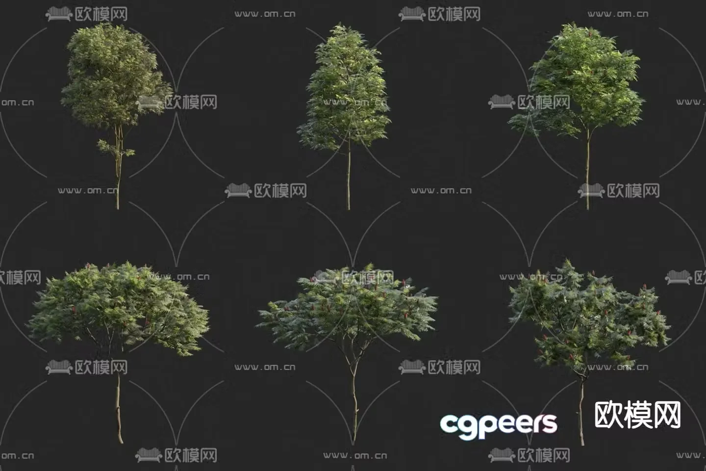 Tree Plant 3D Model