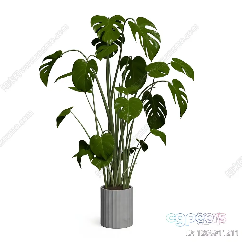 A Potted Plant 3D Model – 4402 – VRAY Render