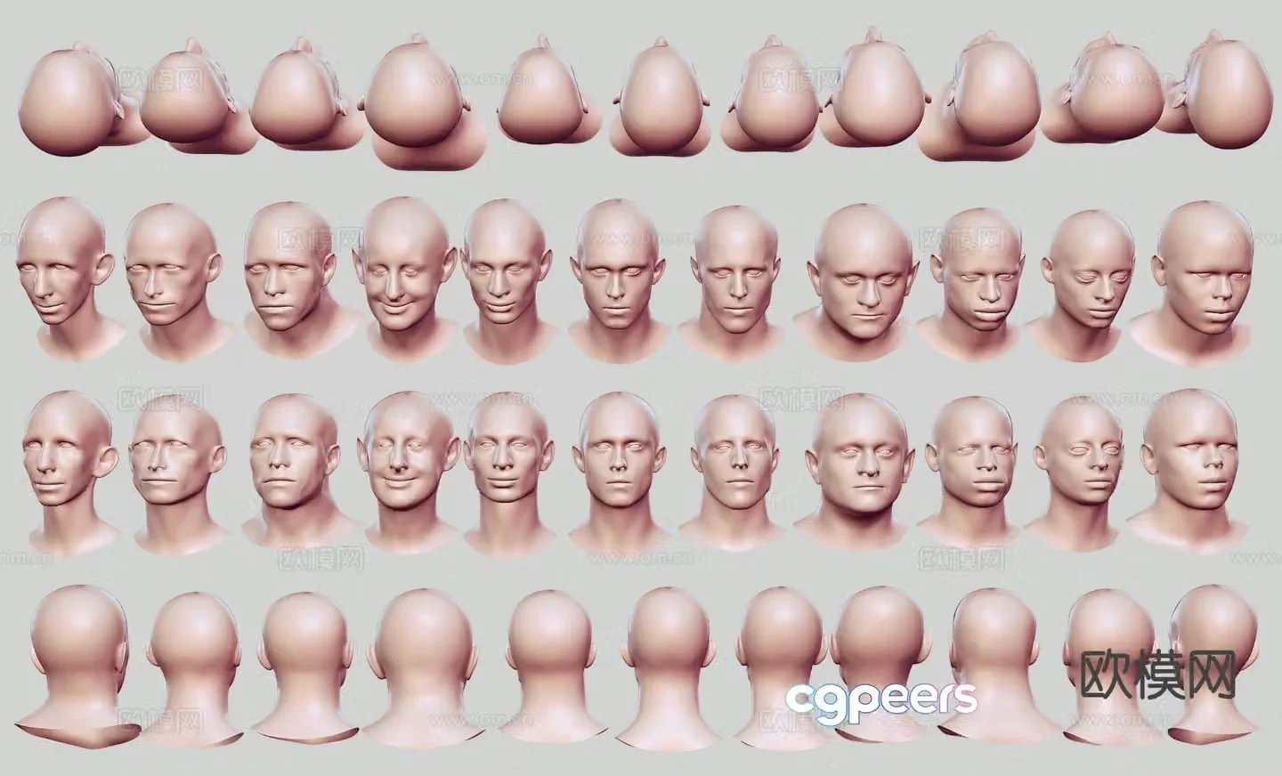 Male head man head sculpture mannequin 3d model