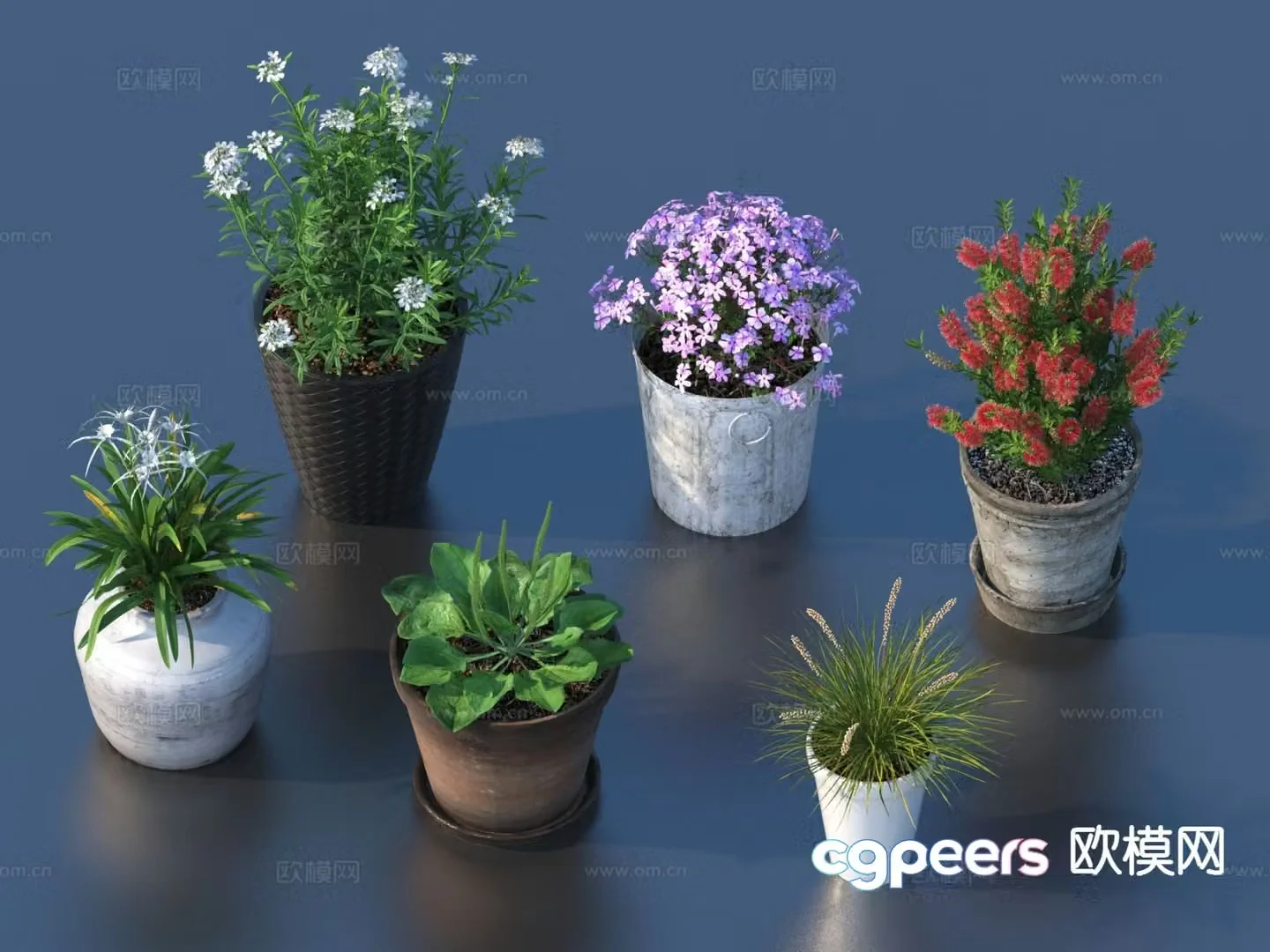 Flower pot pot green plants plant 3d model