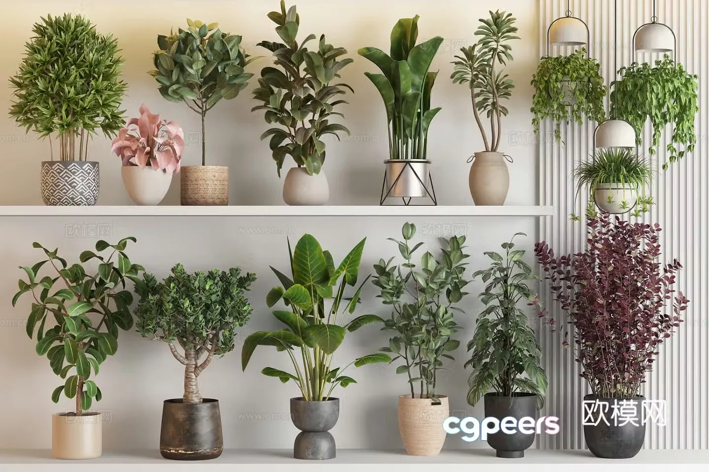 Modern green plant potted plant combination flower pot wealth tree rubber tree flower black diamond potted plant 3d model